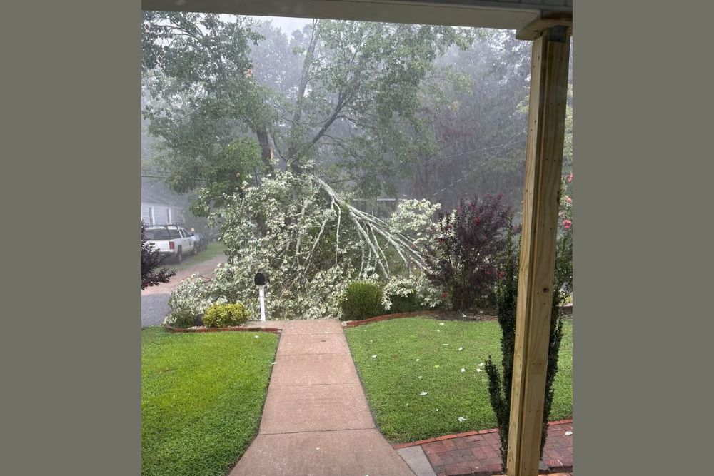 Crazy Wind and Lightning Bring Down Big Branches Near Converse College as Spartanburg County Records Nearly Two Inches of Rain